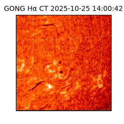 gong - 2025-10-25T14:00:42