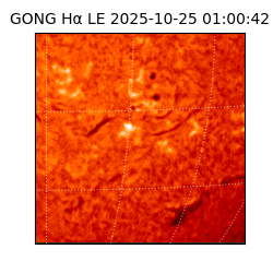 gong - 2025-10-25T01:00:42