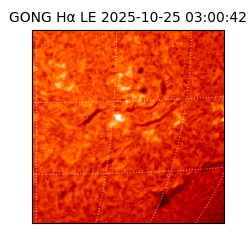 gong - 2025-10-25T03:00:42