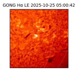 gong - 2025-10-25T05:00:42