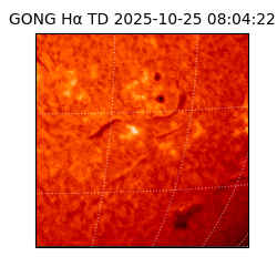 gong - 2025-10-25T08:04:22