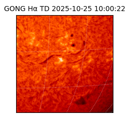 gong - 2025-10-25T10:00:22