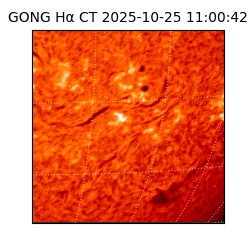 gong - 2025-10-25T11:00:42