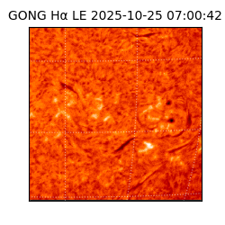gong - 2025-10-25T07:00:42