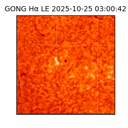 gong - 2025-10-25T03:00:42