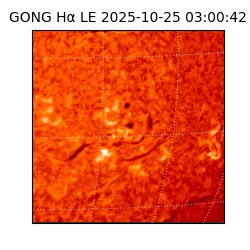 gong - 2025-10-25T03:00:42