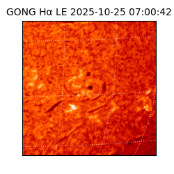 gong - 2025-10-25T07:00:42