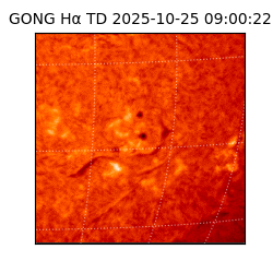 gong - 2025-10-25T09:00:22