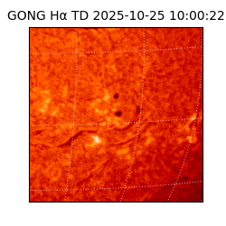 gong - 2025-10-25T10:00:22