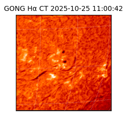 gong - 2025-10-25T11:00:42