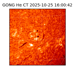gong - 2025-10-25T16:00:42