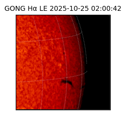 gong - 2025-10-25T02:00:42