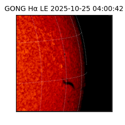 gong - 2025-10-25T04:00:42