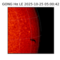 gong - 2025-10-25T05:00:42