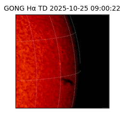 gong - 2025-10-25T09:00:22