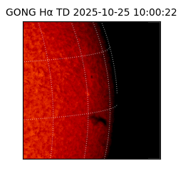 gong - 2025-10-25T10:00:22