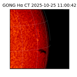 gong - 2025-10-25T11:00:42