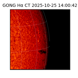 gong - 2025-10-25T14:00:42