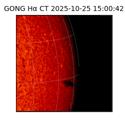 gong - 2025-10-25T15:00:42