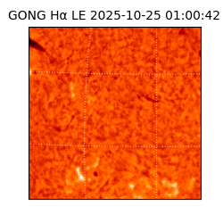 gong - 2025-10-25T01:00:42