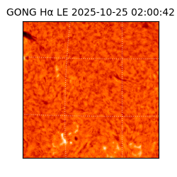 gong - 2025-10-25T02:00:42