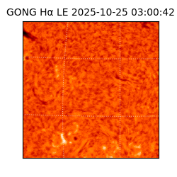 gong - 2025-10-25T03:00:42