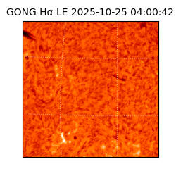 gong - 2025-10-25T04:00:42