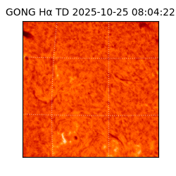 gong - 2025-10-25T08:04:22