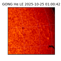gong - 2025-10-25T01:00:42