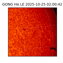 gong - 2025-10-25T02:00:42