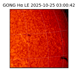 gong - 2025-10-25T03:00:42