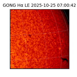 gong - 2025-10-25T07:00:42