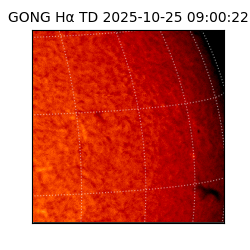 gong - 2025-10-25T09:00:22