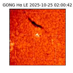 gong - 2025-10-25T02:00:42