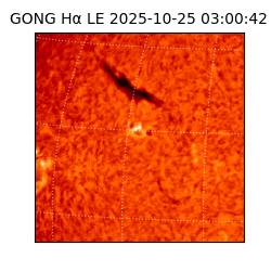 gong - 2025-10-25T03:00:42