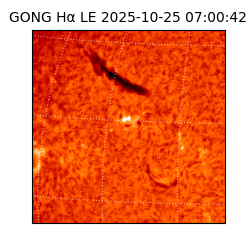 gong - 2025-10-25T07:00:42