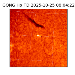 gong - 2025-10-25T08:04:22
