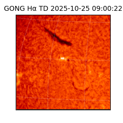 gong - 2025-10-25T09:00:22