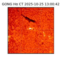 gong - 2025-10-25T13:00:42