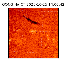 gong - 2025-10-25T14:00:42