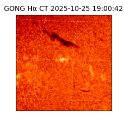 gong - 2025-10-25T19:00:42