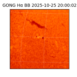 gong - 2025-10-25T20:00:02