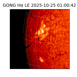 gong - 2025-10-25T01:00:42