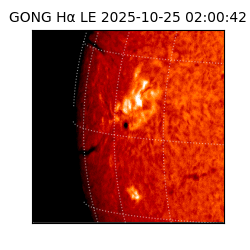 gong - 2025-10-25T02:00:42