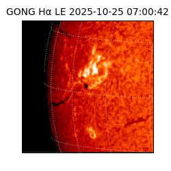 gong - 2025-10-25T07:00:42