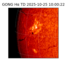 gong - 2025-10-25T10:00:22