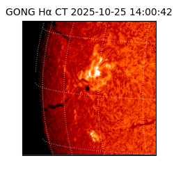 gong - 2025-10-25T14:00:42