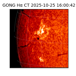 gong - 2025-10-25T16:00:42