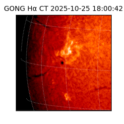gong - 2025-10-25T18:00:42