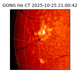 gong - 2025-10-25T21:00:42